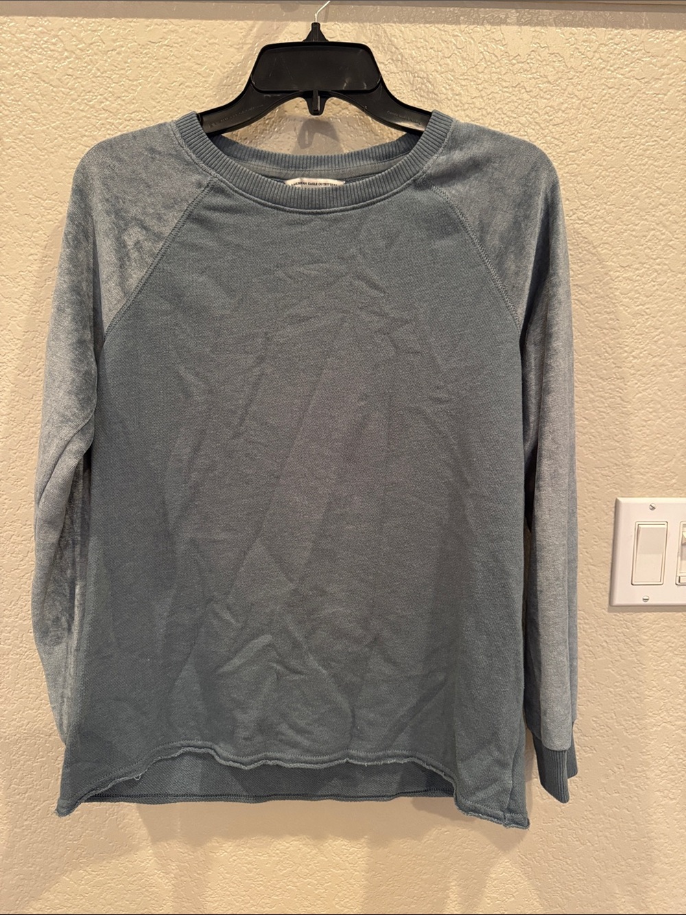 American Eagle Outfitters Blue Crewneck Sweater
